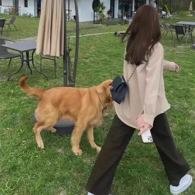 狐狸女士第二季